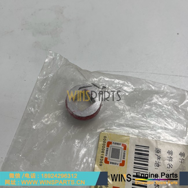 1-09605068-1 1096050681 1-09605-068-1 109605-0681 原装五十铃 4BD1 6BG1 4BG1 6BD1 发动机 缸体 堵头 油塞 用于<a href=//lifecity2021.com/riliwajueji.html target='_blank'>日立</a>挖掘机配件